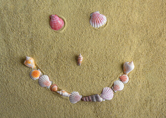 Fototapeta na wymiar Cheerful friendly emoticon made of shells on the sand.