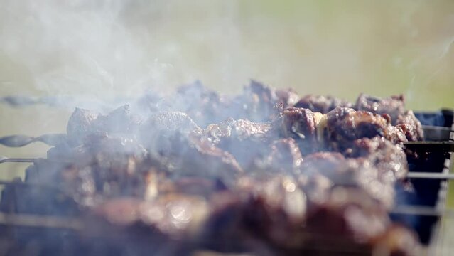 Cooking on picnic on charcoal souvlaki food metal skewer beef