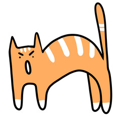 Orange cat standing with an arched back, hairs on the spine standing up, ears flattened backward on the head, and tail held erect.