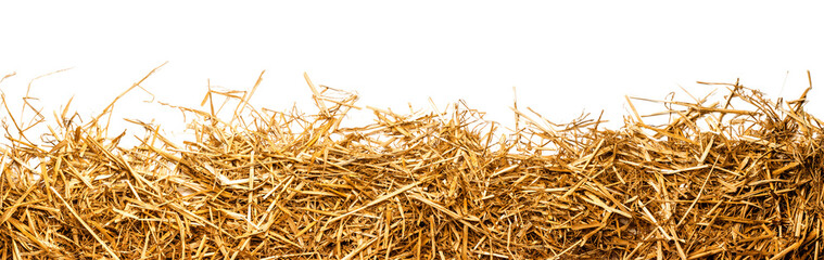 a bunch of straw as border, isolated with transparent background PNG file - obrazy, fototapety, plakaty
