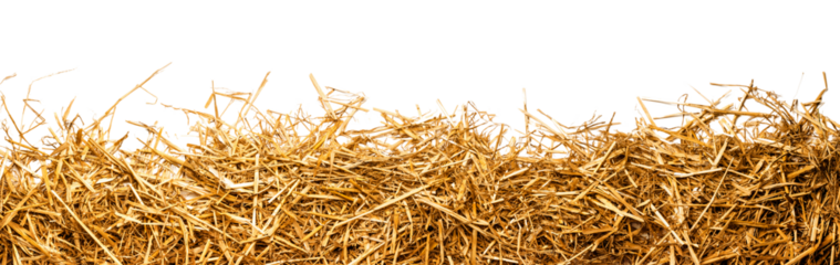 a bunch of straw as border, isolated with transparent background PNG file