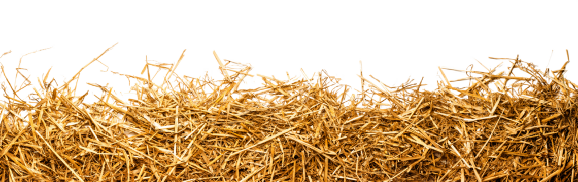 a bunch of straw as border, isolated with transparent background PNG file