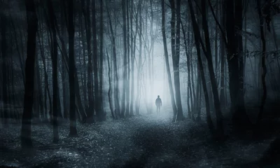 Fotobehang mysterious dark woods with scary ghost at night © andreiuc88