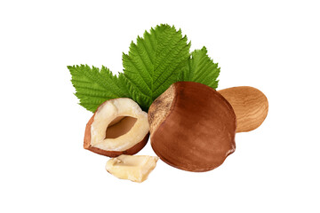 Hazelnuts with green leaves isolated on transparent background. Hazelnut whole in nutshell and...