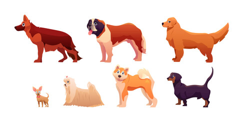 Cartoon Adorable Dogs Collection: German Shepherd, Saint Bernard, Golden Retriever, Chihuahua, Maltese Bolonka, Akita Inu and Dachshund. Vector Set of Funny Pet Animals.