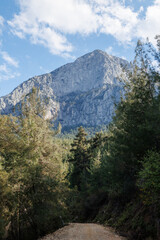 mountain road meandering along the slope of a forested mountain in the summer of Turkey. Mountains and forest.