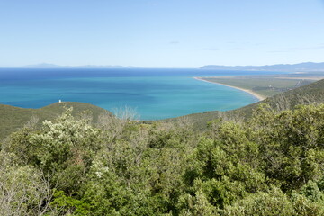 Panorama costiero con macchia mediterranea - Parco Regionale della Maremma - Toscana - Italia