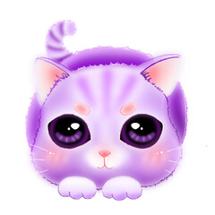 Cat purple 