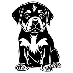 Rottweiler puppy in vector design
