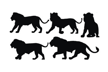 Lions walking in different positions, silhouette set vector. Adult lion silhouette collection on a white background. Wild carnivorous animals like big cats and lions, full body silhouette bundles.