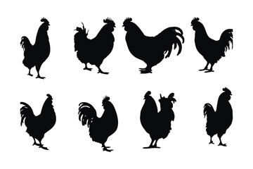 Roosters standing in different positions, silhouette set vector. Big rooster silhouette collection on a white background. Cute domestic animals like roasters or fowl, full body silhouette bundles.