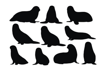 Seals sitting in different positions, silhouette set vector. Small sea lion silhouette collection on a white background. Beautiful sea creatures like seals or sea lions, full body silhouette bundles.