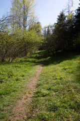 Fototapeta na wymiar photo of a narrow path in the woods