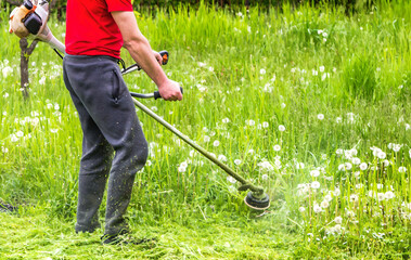 The gardener cutting grass by lawn mower. 