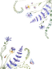 Fototapeta na wymiar Watercolor Greetings Card with multicolor Wildflowers on the white Background.