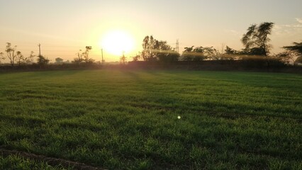 Sunset near farm