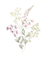 Watercolor Bouquet with Wildflowers. Mouse Peas Plant. Design for Card on the white Background.