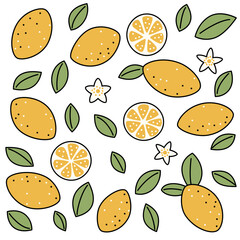 Set with line elements lemon, leaves and flowers for decoration