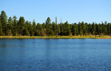 Lake of the woods Arizona