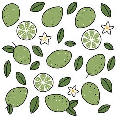 Set with line elements lime, leaves and flowers for decoration