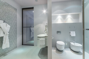 Bathroom with an elegant design. Entrance glass door, stylish sink, bathrobes on the wall. Bidet...