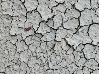 Fototapeta premium The soil cracked on a very hot day.