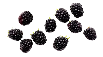 Fotobehang blackberry, isolated on transparent background, Generative AI © Design Resources