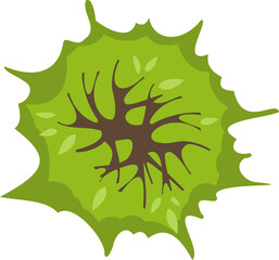 Tree or plant top view for landscape design. Icon  colored tree  for architectural map, plan. Green space. Element for design project of Green spaces