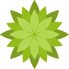 Tree or plant top view for landscape design. Icon  colored tree  for architectural map, plan. Green space. Element for design project of Green spaces