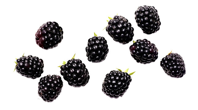 blackberry, isolated on transparent background, Generative AI