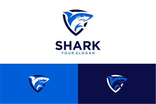 shark logo design with shield