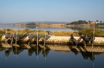 Filets de pêche, Etang de Vic, lagune, espace naturel protégé, 34, Hérault, France
