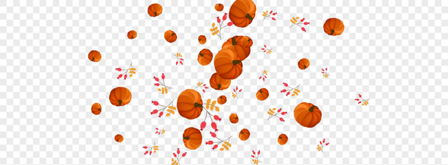 Yellow Gourd Background Transparent Vector. Red Cozy Frame. Orange Pumpkin Decorative Template. Rowan Drawing. Collection Banner.
