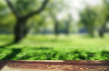 Park blur background