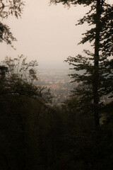 Obraz na płótnie Canvas Fog over the city of Graz from a mountain 