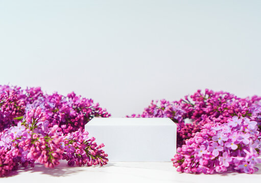 Cosmetics skin care product presentation scene and display made with white podium and flowers of lilac branch. Studio photography.