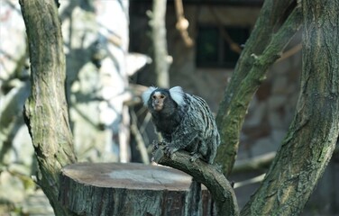 Zoo © Moeros