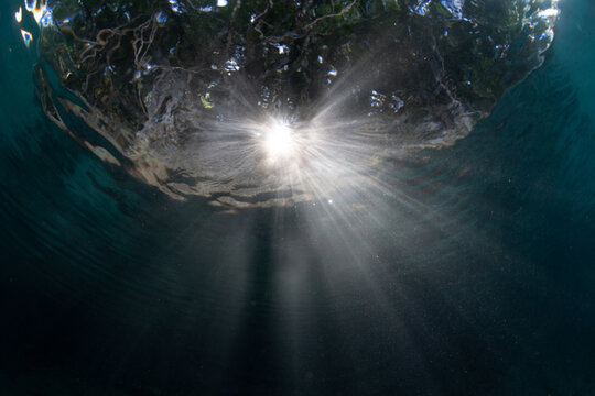 Beams of bright sunlight flicker underwater on the edge of a tropical island in West Papua, Indonesia. This area and its warm waters is home to high marine biodiversity.