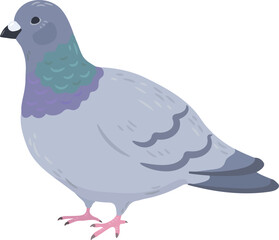 Simple and adorable flat colored Pigeon illustration