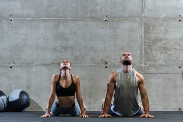 An attractive couple in the gym engaging in various stretching exercises together, showcasing their...