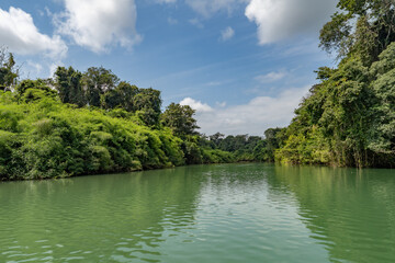 Fototapeta na wymiar Landscape of the Usumacinta river, the international geographic border between Mexico and Guatemala.