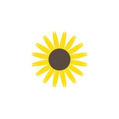 sunflower vector illustration