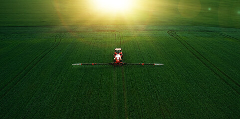 Tractor spraying pesticides on wheat  field with sprayer  in spring. - obrazy, fototapety, plakaty