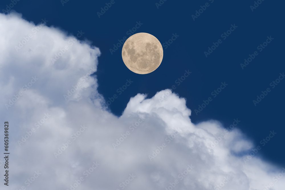 Wall mural full moon on the sky with clouds.