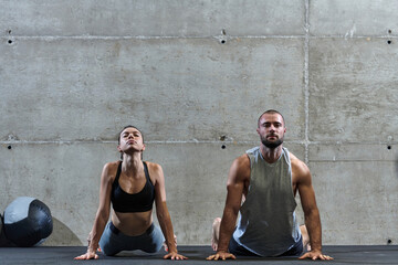An attractive couple in the gym engaging in various stretching exercises together, showcasing their...