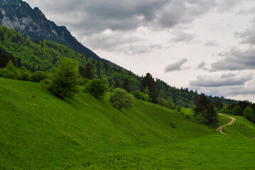 Small path in an alpine meadow on a cloudy day