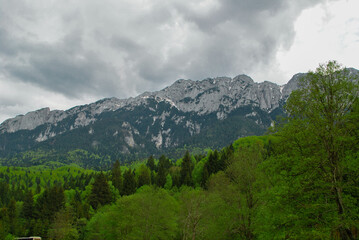 Mountains of Bucegi on a cloudy day from Plaiul Foii , Brasov Romania