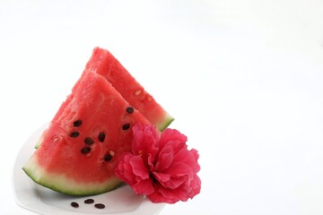 Two pieces of watermelon on a plate, red flower, white background, summer berries and fruits, refreshing food, summer, background image,watermelon on a plate