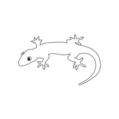 lizard icon