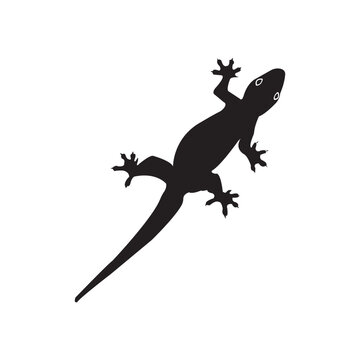 lizard icon